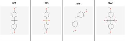 Bisphenol A substitutes and obesity: a review of the epidemiology and pathophysiology